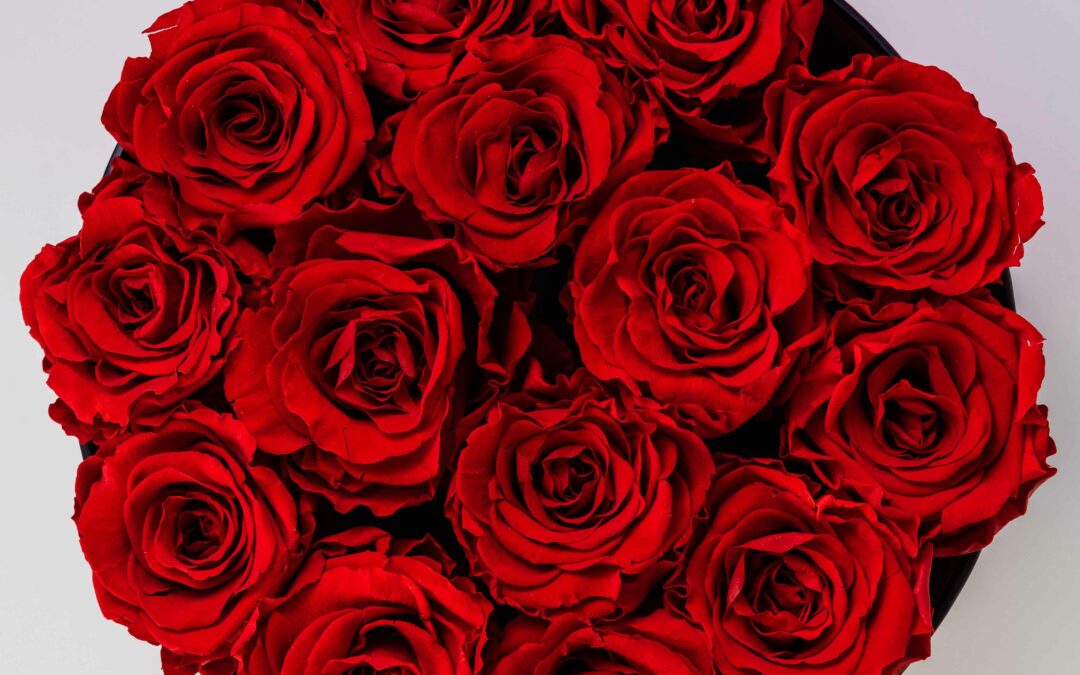 ROSE ROSSE